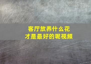 客厅放养什么花才是最好的呢视频