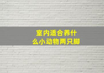 室内适合养什么小动物两只脚