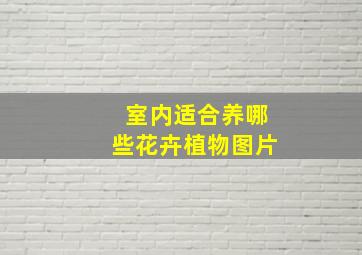 室内适合养哪些花卉植物图片