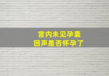 宫内未见孕囊回声是否怀孕了