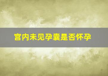 宫内未见孕囊是否怀孕