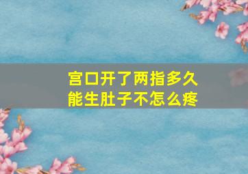 宫口开了两指多久能生肚子不怎么疼