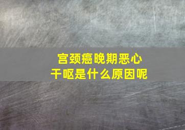 宫颈癌晚期恶心干呕是什么原因呢