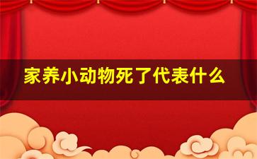 家养小动物死了代表什么