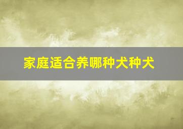 家庭适合养哪种犬种犬