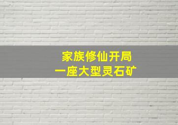 家族修仙开局一座大型灵石矿