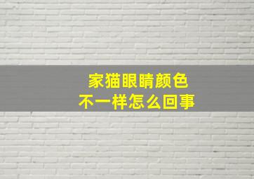 家猫眼睛颜色不一样怎么回事