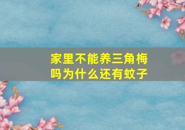 家里不能养三角梅吗为什么还有蚊子