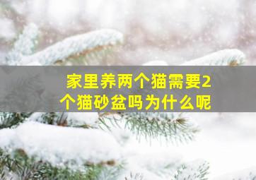 家里养两个猫需要2个猫砂盆吗为什么呢