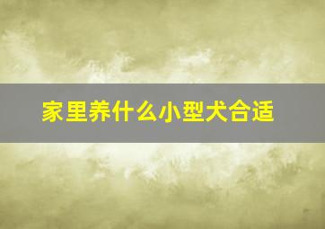 家里养什么小型犬合适