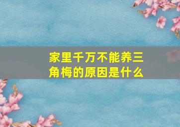 家里千万不能养三角梅的原因是什么