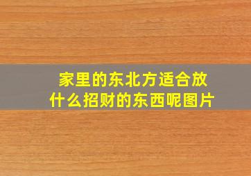 家里的东北方适合放什么招财的东西呢图片