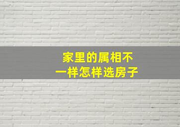 家里的属相不一样怎样选房子