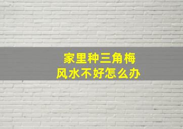 家里种三角梅风水不好怎么办