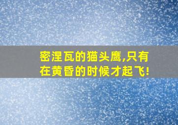 密涅瓦的猫头鹰,只有在黄昏的时候才起飞!