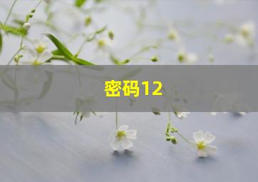 密码12