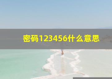 密码123456什么意思