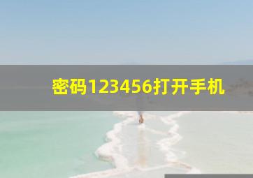 密码123456打开手机