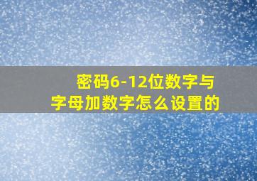 密码6-12位数字与字母加数字怎么设置的