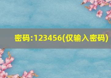 密码:123456(仅输入密码)