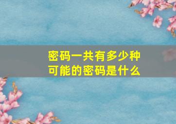 密码一共有多少种可能的密码是什么