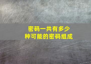 密码一共有多少种可能的密码组成