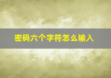 密码六个字符怎么输入