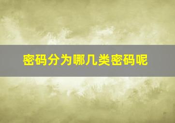 密码分为哪几类密码呢