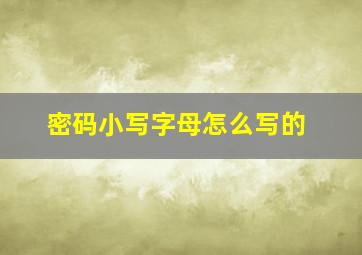 密码小写字母怎么写的