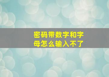 密码带数字和字母怎么输入不了