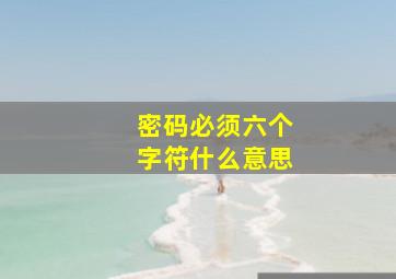 密码必须六个字符什么意思