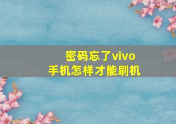 密码忘了vivo手机怎样才能刷机