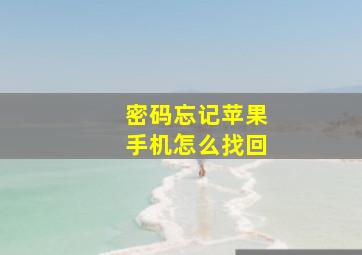 密码忘记苹果手机怎么找回