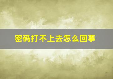 密码打不上去怎么回事