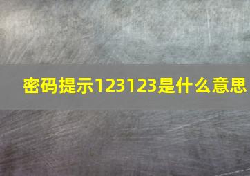 密码提示123123是什么意思