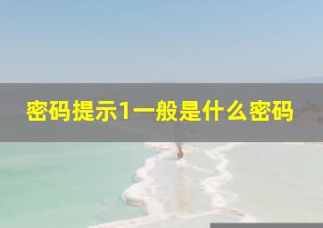 密码提示1一般是什么密码