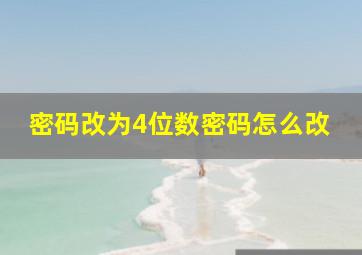 密码改为4位数密码怎么改