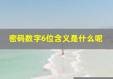 密码数字6位含义是什么呢