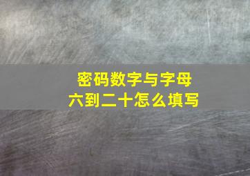 密码数字与字母六到二十怎么填写