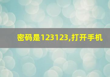 密码是123123,打开手机