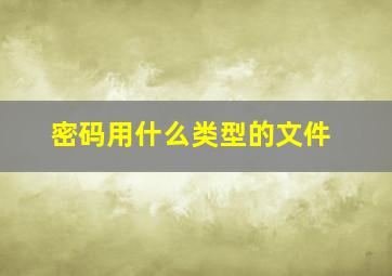 密码用什么类型的文件