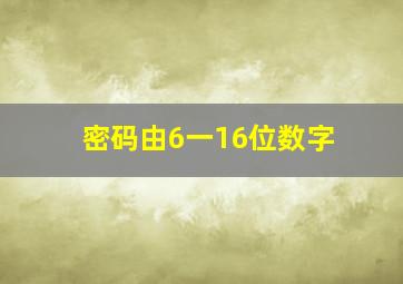 密码由6一16位数字