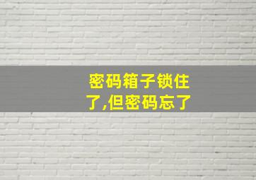 密码箱子锁住了,但密码忘了