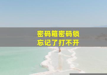 密码箱密码锁忘记了打不开