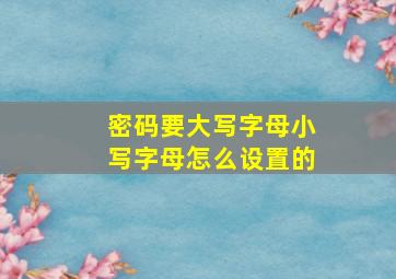 密码要大写字母小写字母怎么设置的