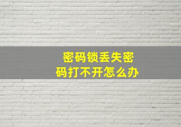 密码锁丢失密码打不开怎么办