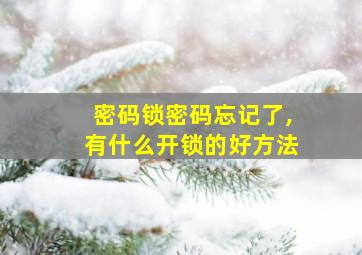 密码锁密码忘记了,有什么开锁的好方法