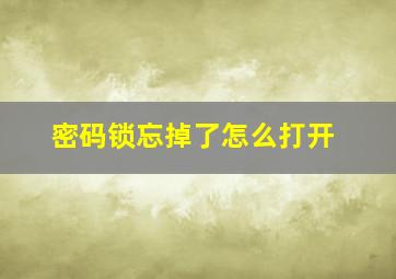 密码锁忘掉了怎么打开