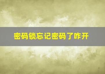 密码锁忘记密码了咋开