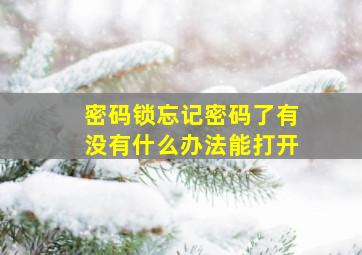 密码锁忘记密码了有没有什么办法能打开